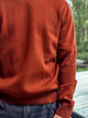 SWEATER VESTERBRO - Brandy Brown