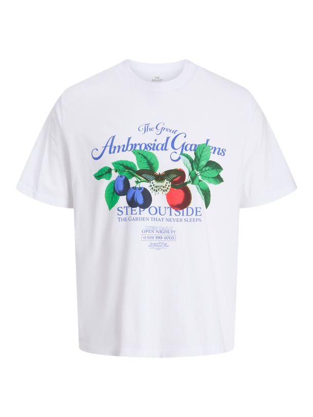 Product POLERA ESTAMPADA FAUNA-Bright White - Image 1