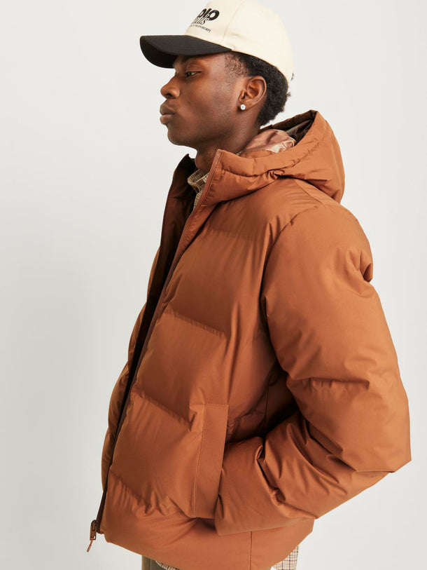 Product CHAQUETA PAYNE - Mocha Bisque - Image 6
