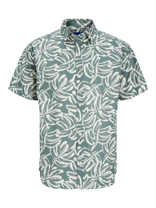 Product CAMISA LAFAYETTE - Laurel Wreath - Image 6