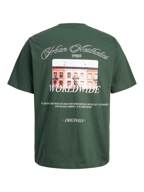 Product POLERA RELAXED ESTAMPADA LEECKER-Sycamore - Image 6
